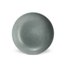 Load image into Gallery viewer, Terra Seafoam Soup Plate
