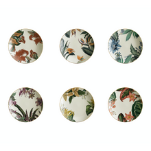 Load image into Gallery viewer, Animalia Soup Plate 5, Set of 6