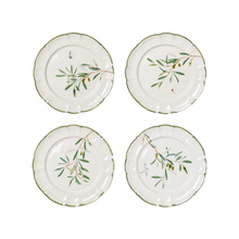 Load image into Gallery viewer, Ulivi No. 4 Plate Set