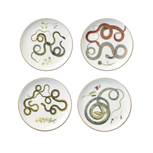Load image into Gallery viewer, Serpenti No.6 Plate Set