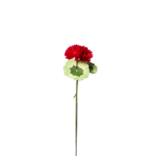 Load image into Gallery viewer, Geranium White Leaf Plant