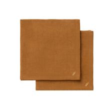 Load image into Gallery viewer, Orlis Dinner Napkins, Set of 2