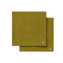 Load image into Gallery viewer, Orlis Dinner Napkins, Set of 2