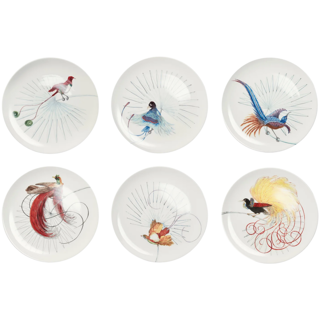 Birds of Paradise Dinner Plate, Set of 6