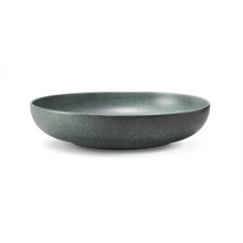 Load image into Gallery viewer, Terra Seafoam Coupe Bowl