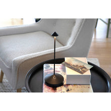 Load image into Gallery viewer, Pina Table Lamp