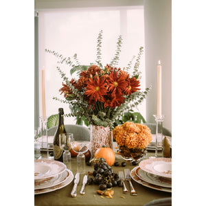 Coralina Dinner Plate, Set of 4
