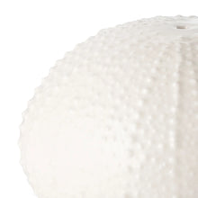 Load image into Gallery viewer, Sea Urchin White Salt &amp; Pepper Shakers