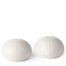 Load image into Gallery viewer, Sea Urchin White Salt &amp; Pepper Shakers