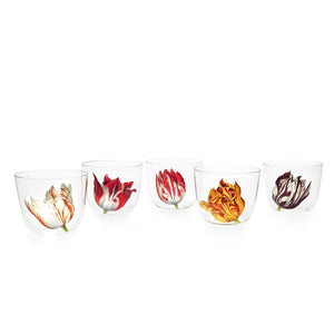 Alpha Tulipmania Water Tumblers, Set of 5