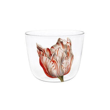 Load image into Gallery viewer, Alpha Tulipmania Water Tumblers, Set of 5