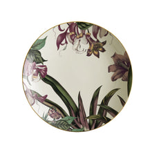 Load image into Gallery viewer, Animalia Soup Plate 4, Set of 6