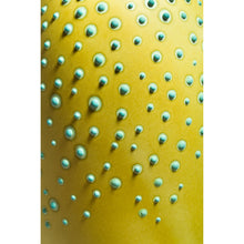 Load image into Gallery viewer, Huxley Lichen Vase
