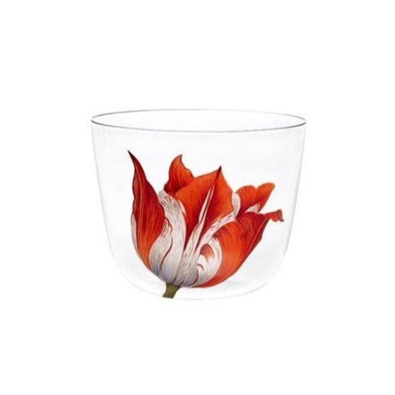 Alpha Tulipmania Water Tumbler 2, Set of 2