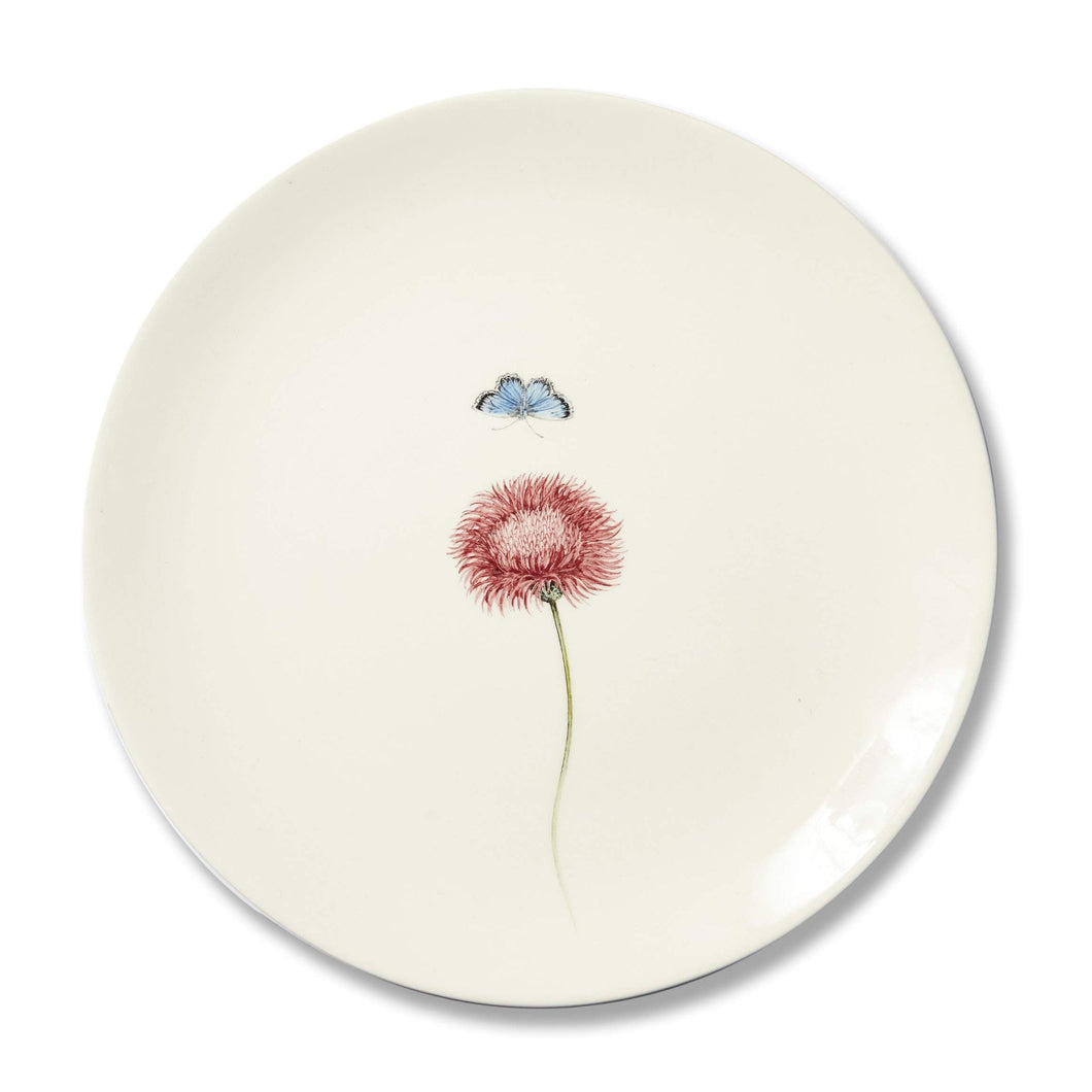 Bloom Silybum Marianum Plate