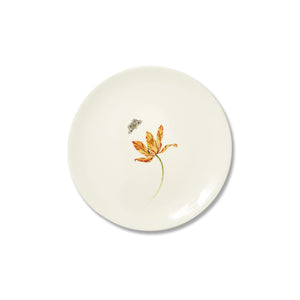 Bloom Tulipae Variae & Pincushion Soup Plates, Set of 2