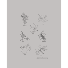 Load image into Gallery viewer, Umbria Natural Linens, Set of 6