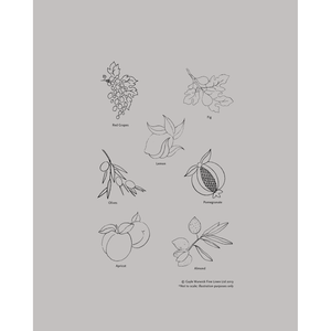 Umbria Natural Linens, Set of 6