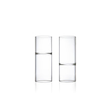 Load image into Gallery viewer, Revolution Water &amp; Wine Glass, Set of 2