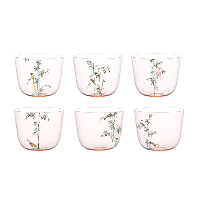 Alpha Garden of Paradise Water Tumbler, Set of 6