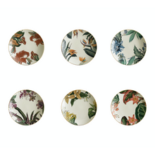 Load image into Gallery viewer, Animalia Soup Plate 1, Set of 6