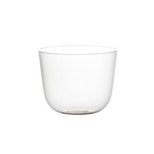 Load image into Gallery viewer, Alpha Clear Flower Bowl, Set of 2