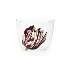 Load image into Gallery viewer, Alpha Tulipmania Water Tumblers, Set of 5