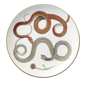 Serpenti Plate 5