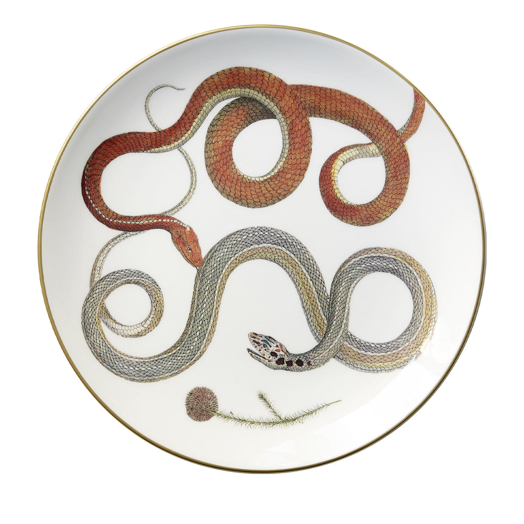 Serpenti Plate 5