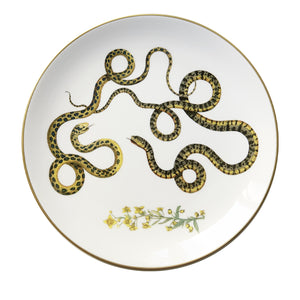 Serpenti Plate 6